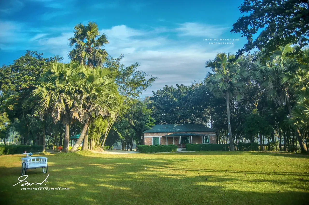 Palm-lined lawn and cottages at Reverie Resort