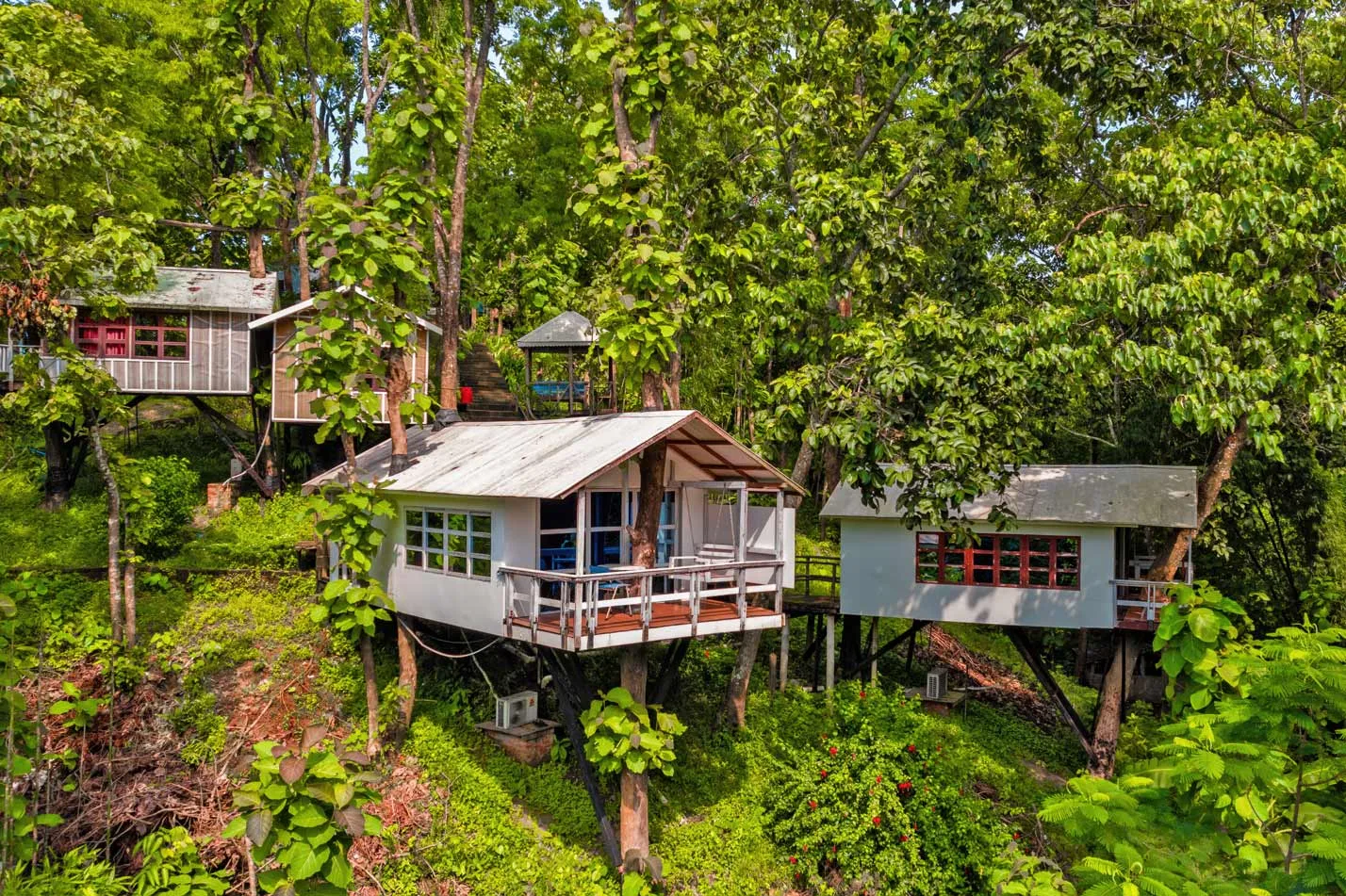 Hillside cottages among the trees at Green Peak Resorts