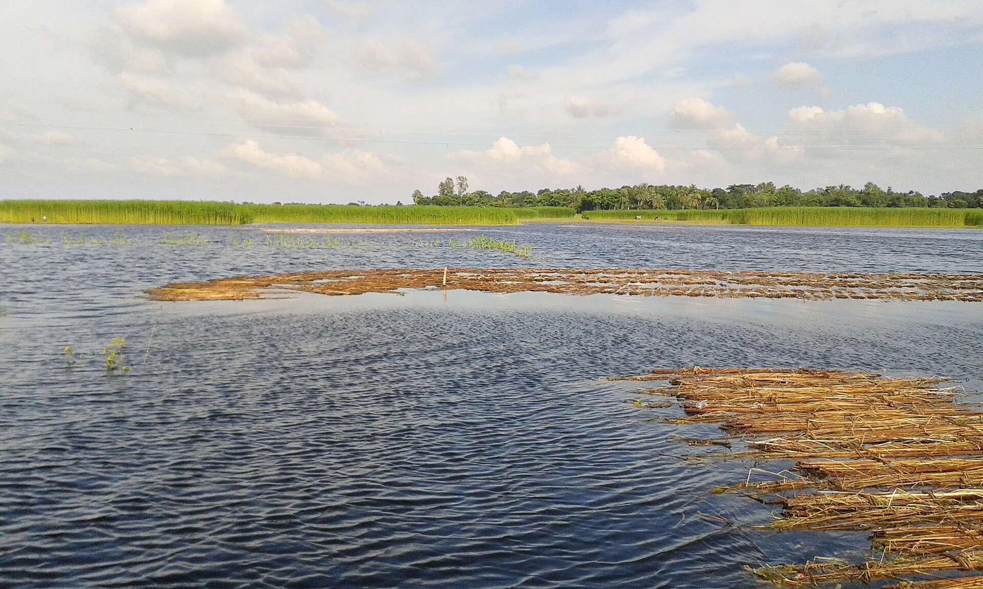 Halti Beel, Natore