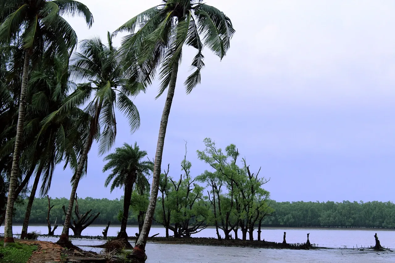 Katka Beach, Sundarban