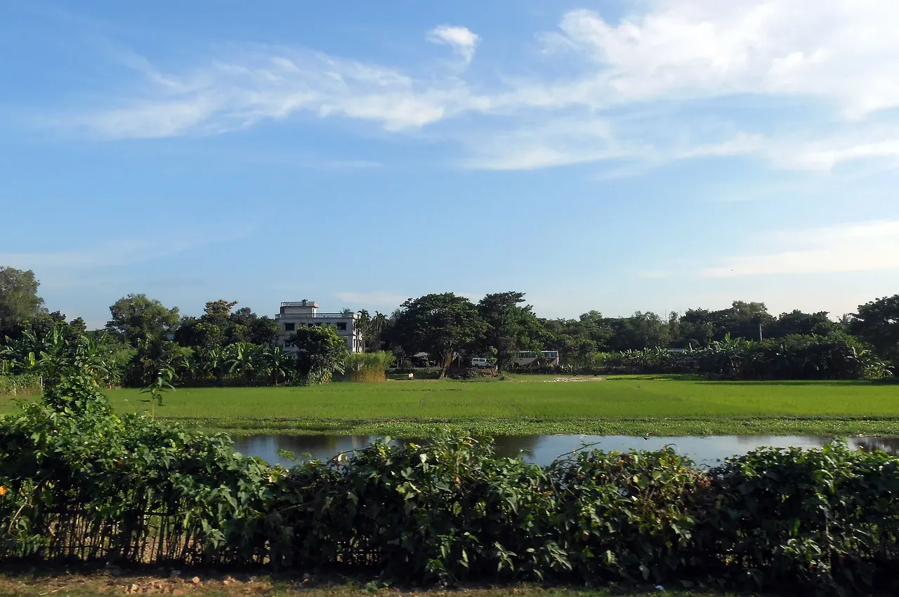 Narsingdi