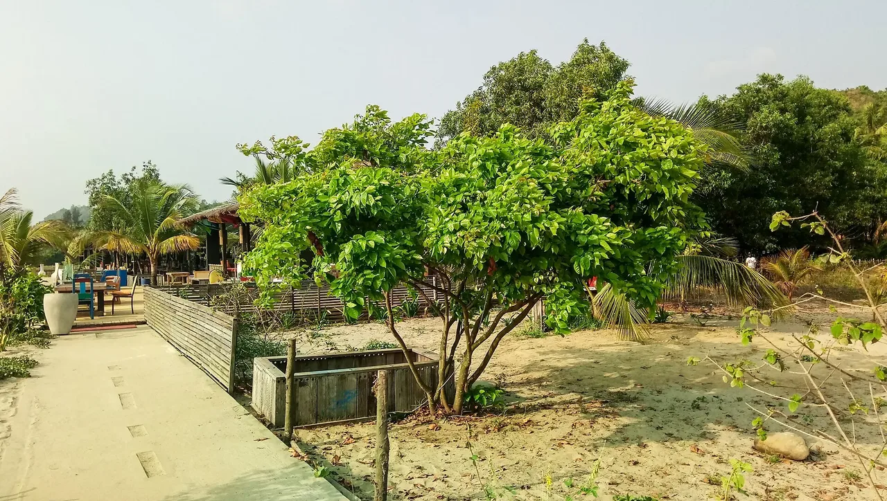 Path through the grounds of Mermaid Beach Resort towards the beach