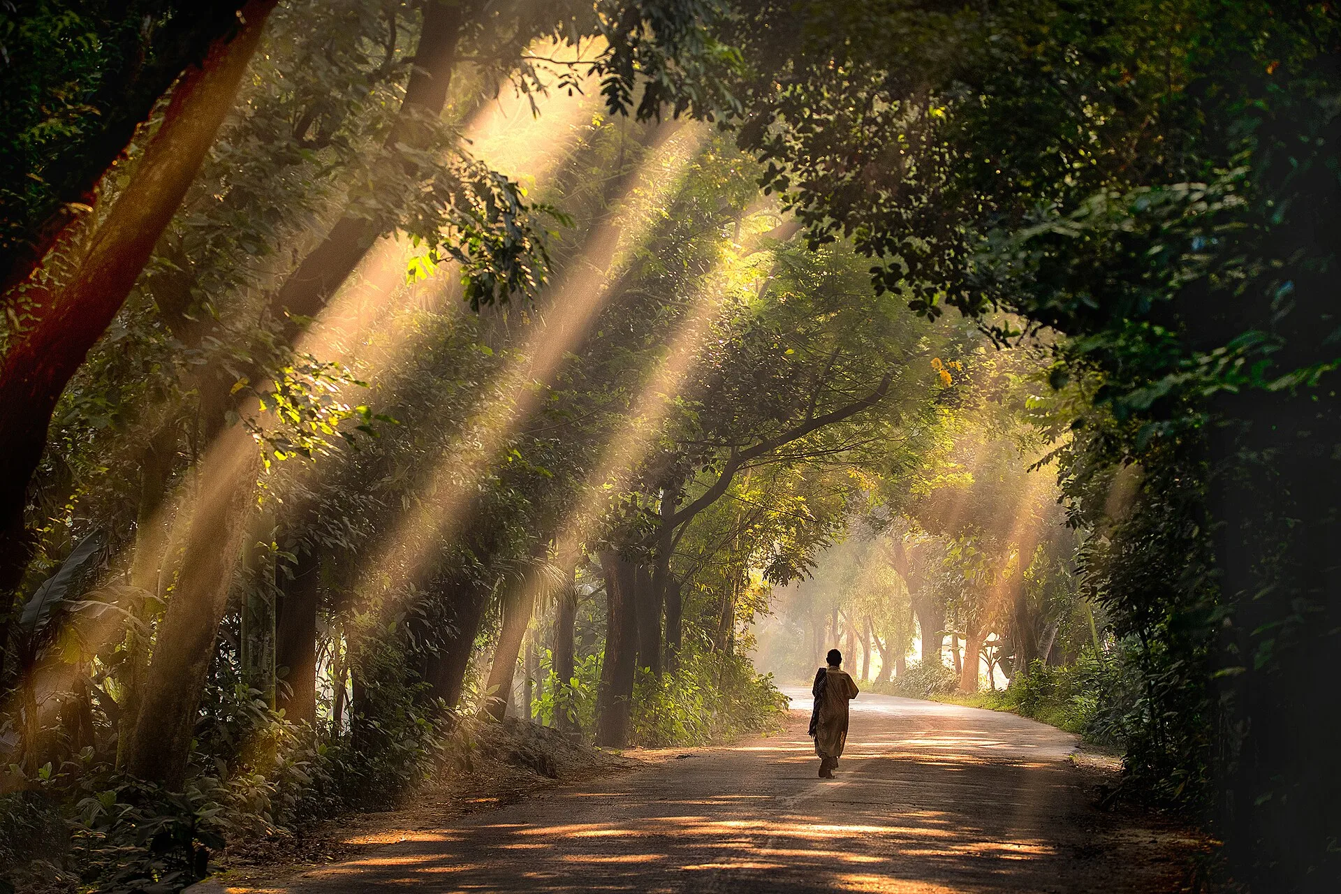 This is a photo of a natural heritage site in Bangladesh identified by the ID: