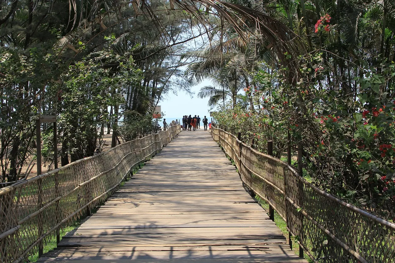 Wooden walkway from Seagull Hotel to the beach through trees
