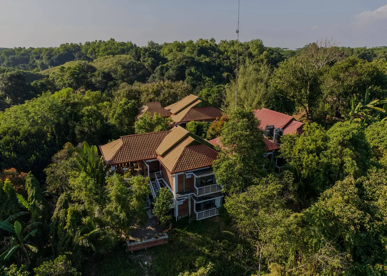 Aerial view of cottages among forest trees