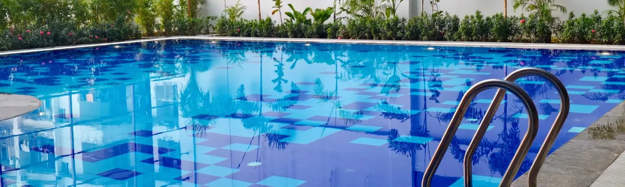 Swimming pool surrounded by plants